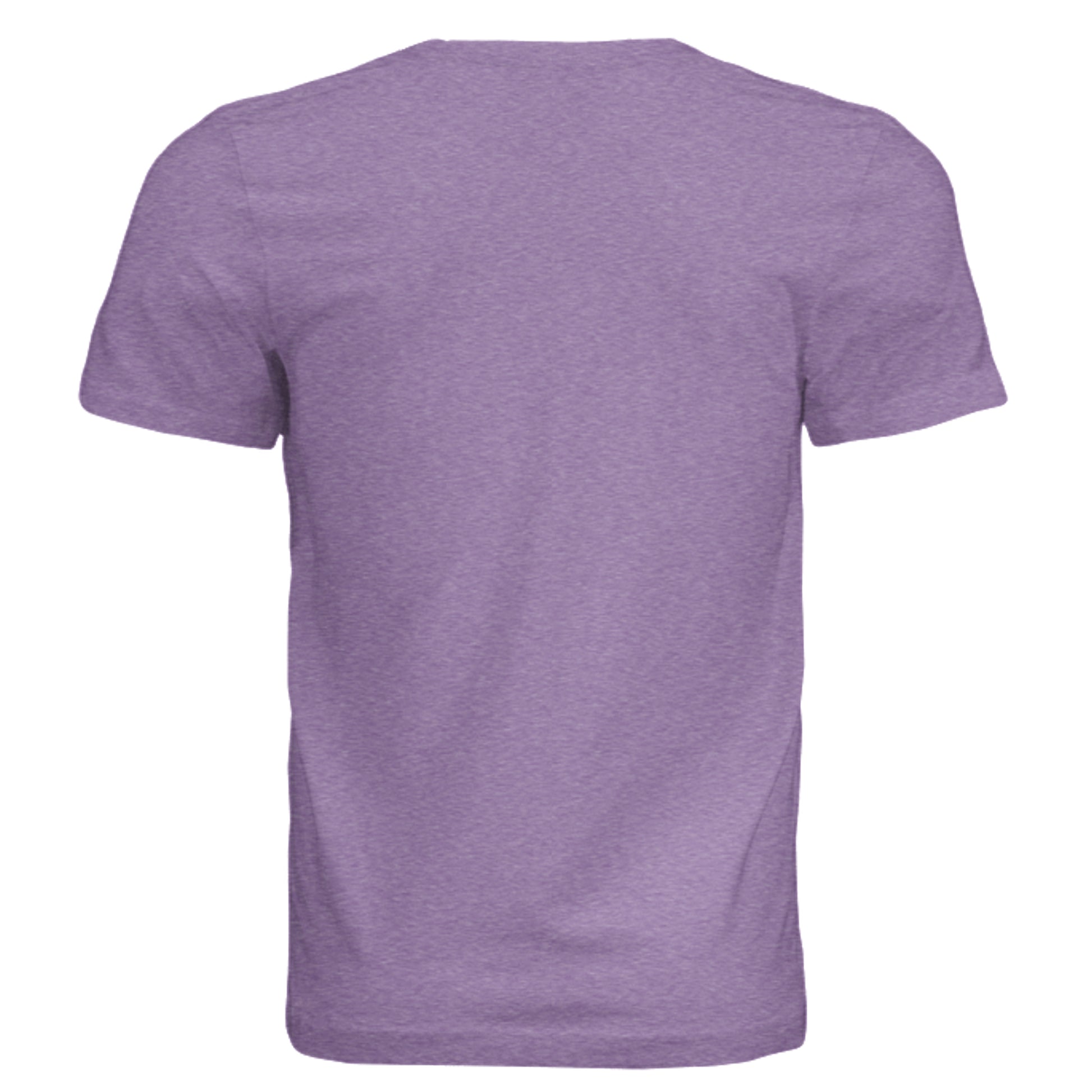 PURPLE TRIBLEND - 3413C - BACK